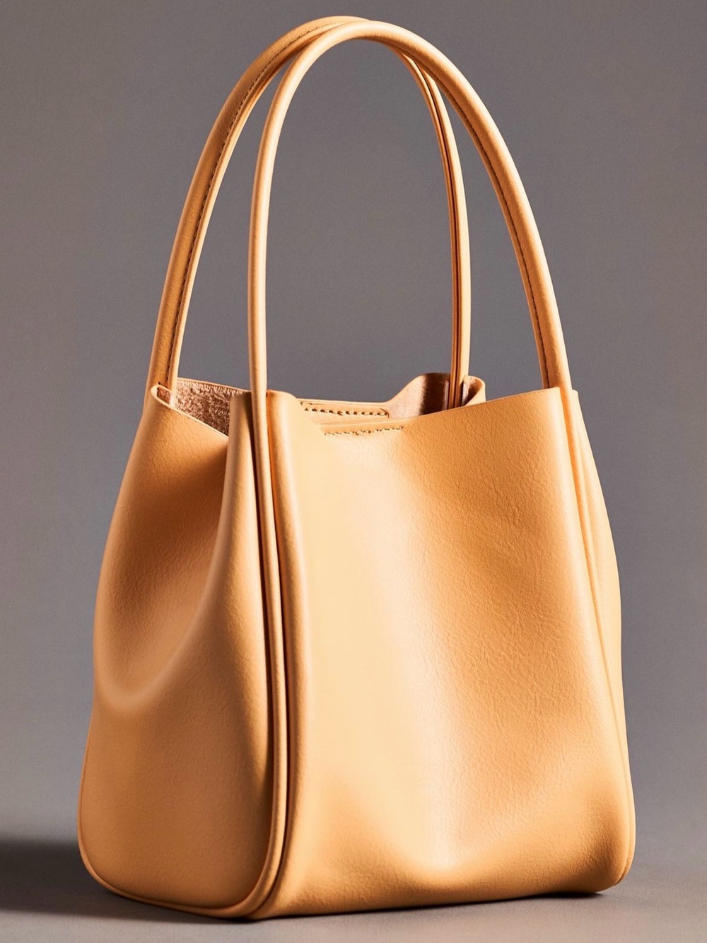 Anthropologie Hollace Tote Bag: mini edition